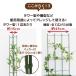��ؒI �I ����120cm �x���I �g�}�g �L���E�� �S�[�� �鐫�A�� ���� �x�� �炭���� daim ���r�j�[�� �֘A�摜3