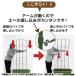 ��ؒI �I ����120cm +�p�������Z�b�g1�� �x���I �g�}�g �L���E�� �S�[�� �鐫�A�� ���� �x�� �炭���� daim ���r�j�[�� �֘A�摜3