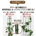 ��ؒI �I ����120cm +�p�������Z�b�g1�� �x���I �g�}�g �L���E�� �S�[�� �鐫�A�� ���� �x�� �炭���� daim ���r�j�[�� �֘A�摜4