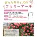 ���߂ł��� �t�����[�A�[�` �� 120cm 210cm ���� 210cm 230cm 240cm 260cm  �K�[�f���A�[�` �o�� ���g�p�t�����[�A�[�` daim ���r�j�[�� �֘A�摜3