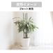 Re.Bloom �����O�T�|�[�g �S2�K�i �ϗt�A�� ������� �t�_�� �h�~ �^���[ �t�F���X �x�� ���| �K�[�f�j���O �ƒ�؉� DIY �֘A�摜2