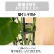 Re.Bloom �����O�T�|�[�g �S2�K�i �ϗt�A�� ������� �t�_�� �h�~ �^���[ �t�F���X �x�� ���| �K�[�f�j���O �ƒ�؉� DIY �֘A�摜3
