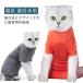 [ бесплатная доставка ] кошка для . после одежда уход одежда . после одежда защита одежда для домашних животных домашнее животное одежда кошка . после . после надеты . после одежда кошка одежда домашнее животное товары .. рука ... опухоль кожа болезнь ..