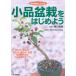  shohin bonsai . начнем мир. растения ..../