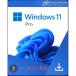 Windows11 home 64bit MicrosoftȤ (ܸ) ǧݾ 󥹥ȡ åץǡ