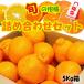 .. лотерейный мешок набор 3 вид еда . сравнение есть перевод 5kg.... мандарин бесплатная доставка фрукты ... плоды фрукты для бытового использования 