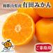  мандарин mi can для бытового использования 10kg коробка Wakayama префектура производство Arita мандарин L размер 10kg желтый цвет коробка царапина есть JA. стандартный товар AQ мандарин . покупка 