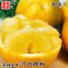  распродажа Kawauchi ... мир Gold 5kg коробка есть перевод прекрасный .. лето помело love юг Gold прямая поставка от производителя Ehime префектура производство Kawauchi ..L-3L размер 5kg коробка есть перевод смешивание размер другой Mix . покупка 