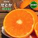  высококлассный ... или мандарин есть перевод бесплатная доставка ... жирный тунец Ehime префектура . или S размер 5kg. для бытового использования мандарин пробный бесплатная доставка 