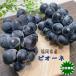  виноград pio-ne милый 2. входить Fukuoka префектура производство pio-ne. комплект 300g × 2. входить подарок виноград pio-ne прохладный рейс бесплатная доставка 