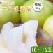  груша нет Tottori префектура производство 20 век груша превосходящий товар 5kg 10~16 шар входить бесплатная доставка .. для груша Tottori 20 век груша нет нет . покупка 