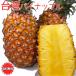  Taiwan ананас золотой . ананас .. san сосна Taiwan производство ананас 6-8 штук входит бесплатная доставка прохладный рейс рассылка Taiwan сосна День матери подарок популярный подарок 