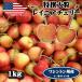  предварительный заказ american Cherry Ray nia Cherry Washington . производство крупный 1kg высококлассный american Cherry Ray nia вишня [6 месяц 20 день ~8 месяц 9 день. отгрузка предположительно ] 00013D