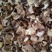  сухой .. . высушенный flat .100g cut модель dry common take сухой обычный .. грибы низкий Caro li. предмет ... предмет,.. включая рис, суп и т.п. использование делается 