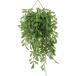[I] не 2 торговля искусственная зелень интерьер зеленый kjak cocos nucifera подвешивание ниже висячий pot человек . декоративное растение 41124