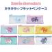  Sanrio герой z Kirakira * Flat пенал Cinnamoroll черный mi Kitty .. чувство прозрачный тент грамм симпатичный [02] ( почтовая доставка объект )