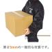 �_���{�[�� �i�{�[���� ��z120�T�C�YA3 460�~320�~�[��280mm 50���Z�b�g �֘A�摜5