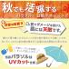 �K�[�f���p���\�� 270cm ��^ �p�x���� �`���g�@�\ �P�i �Z�b�g �p���\�� �x�[�X UV�J�b�g ���悯 �V�F�[�h ���� �K�[�f�j���O �e���X�p �֘A�摜2