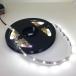 LED�e�[�v���C�g �P���x 2835 ���F (�����F) 12 V (5 cm 0.25 W �P�� �؂蔄��C��h��) �֘A�摜1