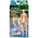  van te Lynn высота вентиляция опора .... . assist M silver gray 574-294800-00