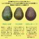 �A�{�J�h Avocado 10�� ���L�V�R�Y 1��150�O�����O��@���e ���N �t���[�c �M�t�g ���蕨 �X�C�[�c �v���[���g ���َq ���j�� �֘A�摜3