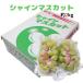 �L�����Y �h�V���C���}�X�J�b�g�h ��2kg (4�`6�[��) �Ԃǂ� ���� �x���[  �t���[�c �䒆�� �����p �����M�t�g �l�C ���j�� ���j�� ��j ���� ���̓�