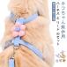  кошка двойной блокировка кошка одним движением тип Lead кошка для Harness мягкий .. ощущение .. Harness кошка для Lead кошка для Harness & Lead комплект простой выпадение нет ..