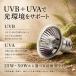 ঒��� UVB+UVA���C�g�i25W 50W�j UVB�����v  ���O�����C�g  ঒��ރ��C�g  �g�J�Q   ������  ���I�p �t �g�A�S�q�Q�g�J�Q  �J��  �T  ���N�K��  �J�����I�� �֘A�摜5