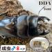 | популярный вид |arukites common ta взрослое насекомое *80~84mm( передний .33 и больше ) пара WD с подарком .dda рогач организм 