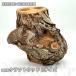 new craft дерево (L) 2304191426 dda рогач жук-носорог жердочка .. дерево 