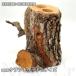 new craft дерево (L) 2304191437 dda рогач жук-носорог жердочка .. дерево 