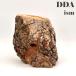 new craft дерево (M) 2311101143 dda рогач жук-носорог жердочка .. дерево 