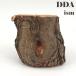 new craft дерево (M) 2405241023 dda рогач жук-носорог жердочка .. дерево 