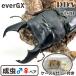 | серийный карта имеется ever107.9| everGX/ Ultimate a che ~ очень толстый *106.7-37.2-39.2mmA- *54.5mm( такой же .) пара sma тигр common tadda premium организм 