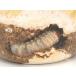 K-ZERO �u���b�N �N�k�M 100%�~�J������ dda �N���K�^ �c�� �ێ� �G�T �֘A�摜2