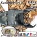 | серийный карта имеется kunisma тигр Φ линия |. дорога kuni98Φ линия ~ *100.6-34.5-36.8mm *53.0mm(103.5Φ линия )sma тигр oo common tadda premium организм 