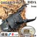 | серийный карта имеется OAGARIpala one | OAGARIpala one 115.1 линия ~. futoshi *110.0-34.0-34.2mm *51.0mm(110.4)pala one oo common tadda premium организм ( копирование )