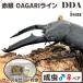 | серийный карта имеется RR красный глаз OAGARIpala one | очень большой *112.5mm H35.3mm B36.0mm *50.3mm(RR/ такой же .)pala one oo common tadda premium организм 