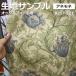  ткань образец moda* ткань sui задний m Maurice дизайн ветреница корончатая (Y) 8217-22T ANEMONE Fabric by BEST OF MORRIS