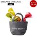  Dean and Dell -ka Mini большая сумка серый &kne-ji3 штук входит DEAN &amp; DELUCA подарок модный популярный подарок конфеты 