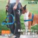 [ есть перевод ].. обивка предотвращение домашнее животное safe Deluxe легкий walk Harness M/L ocean blue большой собака тренировка PetSafe за границей бренд импорт стандартный товар 
