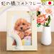  pet Buddhist altar fittings crepe-de-chine craftsmanship pastel rainbow. . picture frame photo frame L size lovely rainbow photo stand 57-172