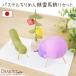  для домашних животных O-Bon .. крепдешин пастель .. лошадь .... O-Bon украшение комплект украшение 57-169