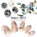 nyu Anne s Sherpa -tsu каждый примерно 3g 4 вид в кейсе гель Nailparts комплект ракушка . ногти 
