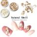  натуральный ракушка Stone каждый примерно 3g 3 вид в кейсе Nailparts гель ногти ногти сопутствующие товары комплект ракушка 