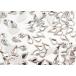 ץ쥷 FB Pearshape  ڥ׷ ꥹ롡10 x 6mm(1γ)