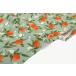 ���n�E�z�E�������w��Apricot��I�b�N�X/��148cm�y�I���W�i�����n�z�y10cm�P�ʔ̔��z �֘A�摜1