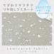 ϡۡء World of space -spaceman 䡡ߥ͡/100cmĤä饵顡ڴȯбۡ10cmñ