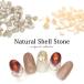[ кошка pohs бесплатная доставка ] Nailparts натуральный ракушка Stone все 2 вид собственный ногти гель ногти ... декорированный телефон 