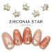 [ кошка pohs бесплатная доставка ] Nailparts циркон Star детали 2 штук входит собственный ногти гель ногти 